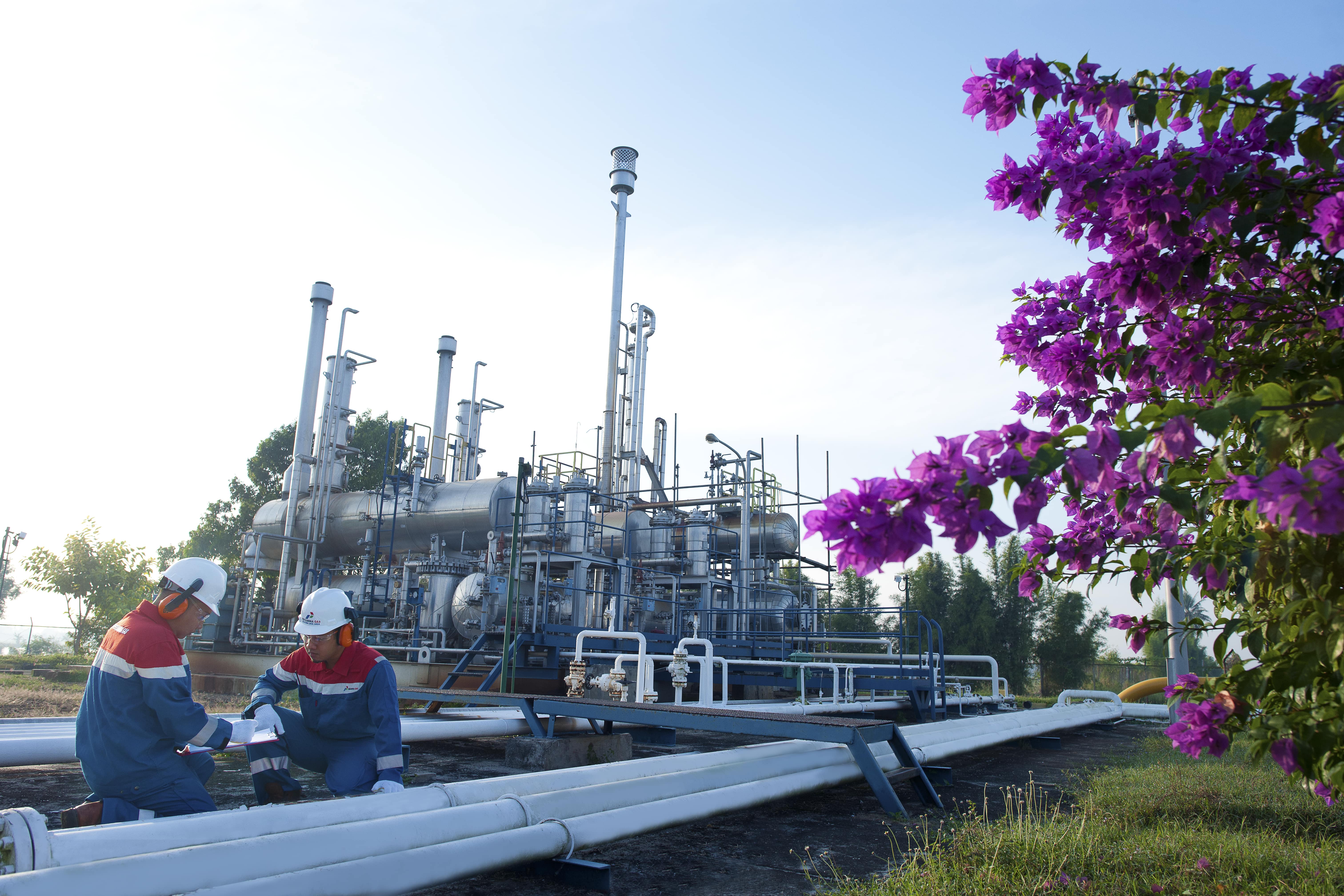 Authentication image